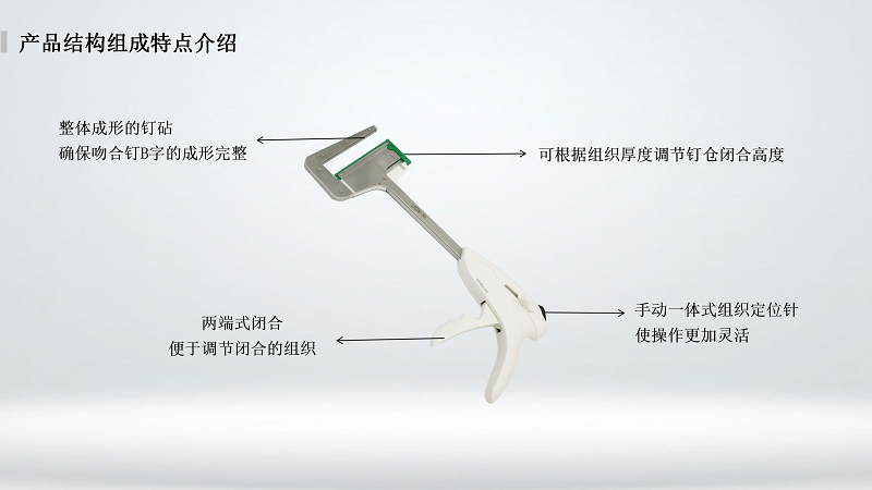 直线黄瓜视频污下载_01.png
